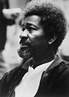 Wole Soyinka